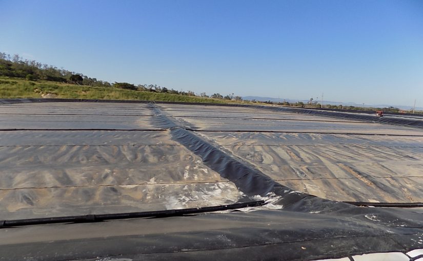 Geomembrane Composition and Antioxidants